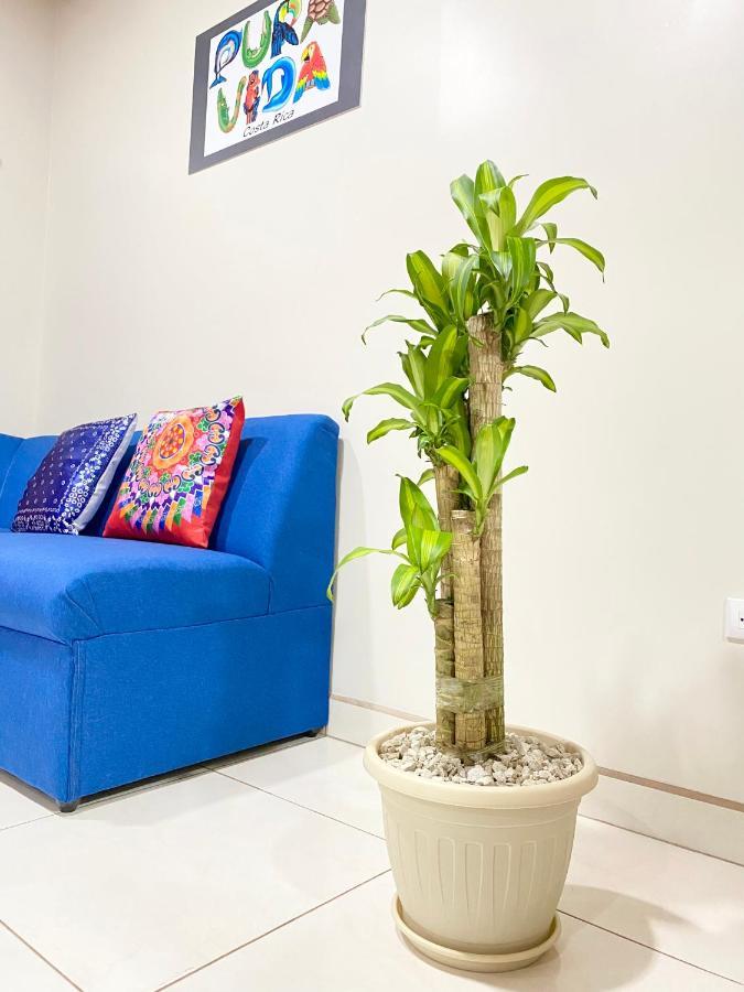 Pura Vida Apartment. 5 Min From Airport 阿拉胡埃拉 外观 照片